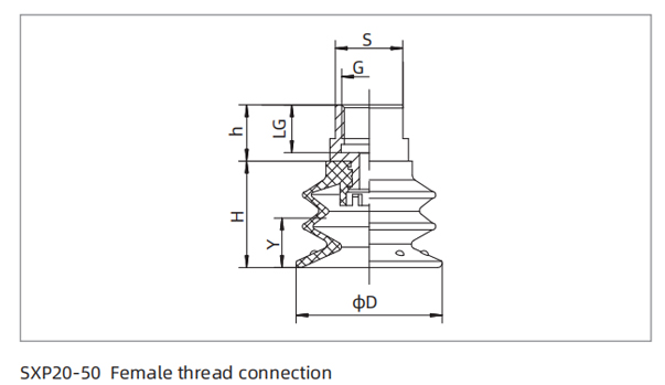 Dimensions PU Bellows Suction Cup SXP20-50 Female Thread Connection Dimensions PU Bellows Suction Cup SXP20-50 Female Thread Connection