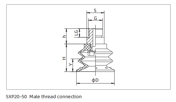 Dimensions PU Bellows Suction Cup SXP20-50 Male Thread Connection Dimensions PU Bellows Suction Cup SXP20-50 Male Thread Connection