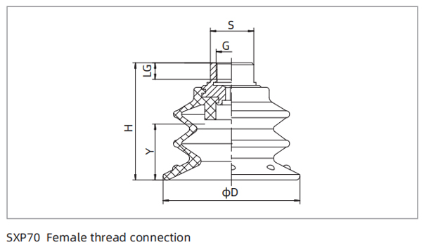 Dimensions PU Bellows Suction Cup SXP70 Female Thread Connection Dimensions PU Bellows Suction Cup SXP70 Female Thread Connection
