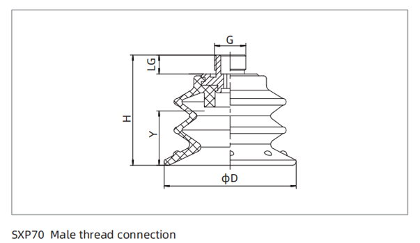 Dimensions PU Bellows Suction Cup SXP70 Male Thread Connection Dimensions PU Bellows Suction Cup SXP70 Male Thread Connection